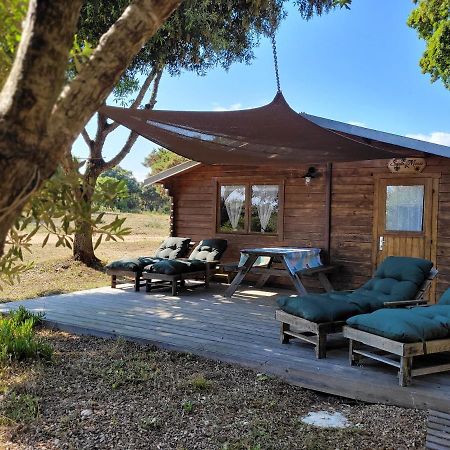 Chalet Climatise Santa Maria A Bonifacio Bonifacio  Buitenkant foto